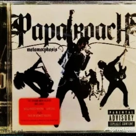 CD Nowa-Polecam Album CD FOO FIGHTERS -Album One by One