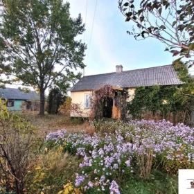 Dom, 64 m², Gręzówka-Kolonia