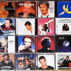 CD Nowa- Polecam Wspaniały Album CD BRYAN FERRY: The BEST Of