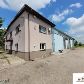 Lokal użytkowy, 700 m², Krzywda