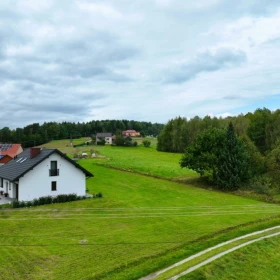  1 ha działki rolnej w gminie Szerzyny 