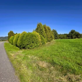 Dom z dużą działką 1,46 ha w malowniczej Kowalowej