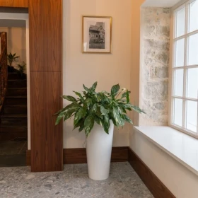 W PEŁNI WYPOSAŻONY I UMEBLOWANY PENTHOUSE W HISTORYCZNEJ WILLI NA ZBOCZU GÓRY PARKOWEJ!