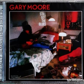 Polecam Podwójny Album 2CD THE DOORS -Album The Best Of The Doors