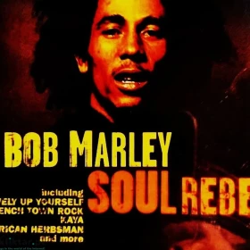 CD Nowa- Polecam Jeden z Nalepszych Albumów CD LIONEL RICHE