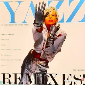 Polecam Wspaniały Album CD MADONNA- Hard Candy