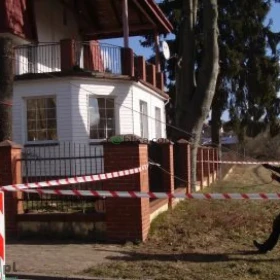 Sekcyjna ścinka drzew