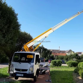 Sekcyjna ścinka drzew