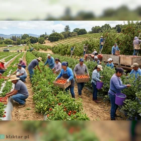 Zatrudnie rekrutera z znajomością j.Hiszpańskiego.