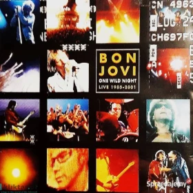 Znakomity Album CD GUNS N ROSES Album- Chinese Democracy CD