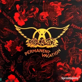 Znakomity Album CD GUNS N ROSES Album- Chinese Democracy CD