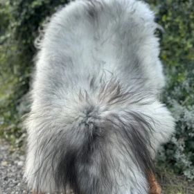 Naturalne skóry owcze Melerade