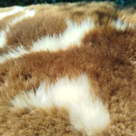 Naturalne skóry owcze Holenderskie