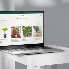 Strony internetowe, sklepy online i automatyzacje AI