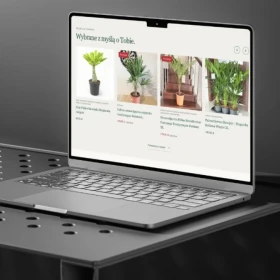 Strony internetowe, sklepy online i automatyzacje AI
